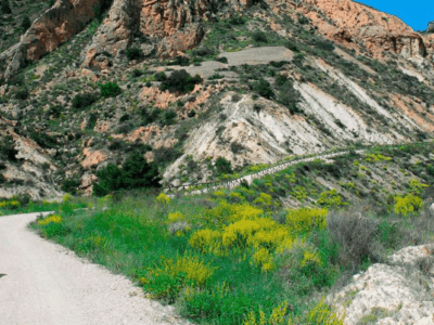 LOCALIZACIONES-2_Página_034_Imagen_0001