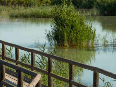 LOCALIZACIONES-2_Página_094_Imagen_0002