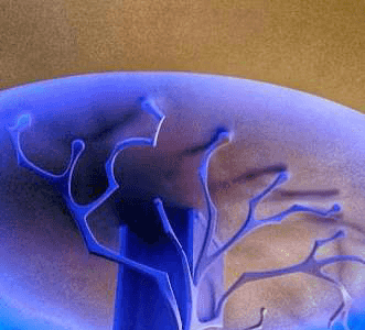 LOCALIZACIONES-2_Página_150_Imagen_0003