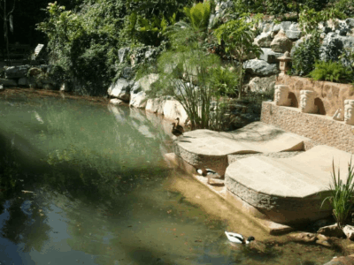 LOCALIZACIONES-2_Página_170_Imagen_0001